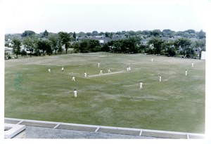 1959CricketFromRoof.jpg